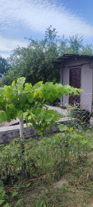 Продам будиночок з залитим фундаментом 7*5,5 м с.Сулимівка (дачний кооператив)