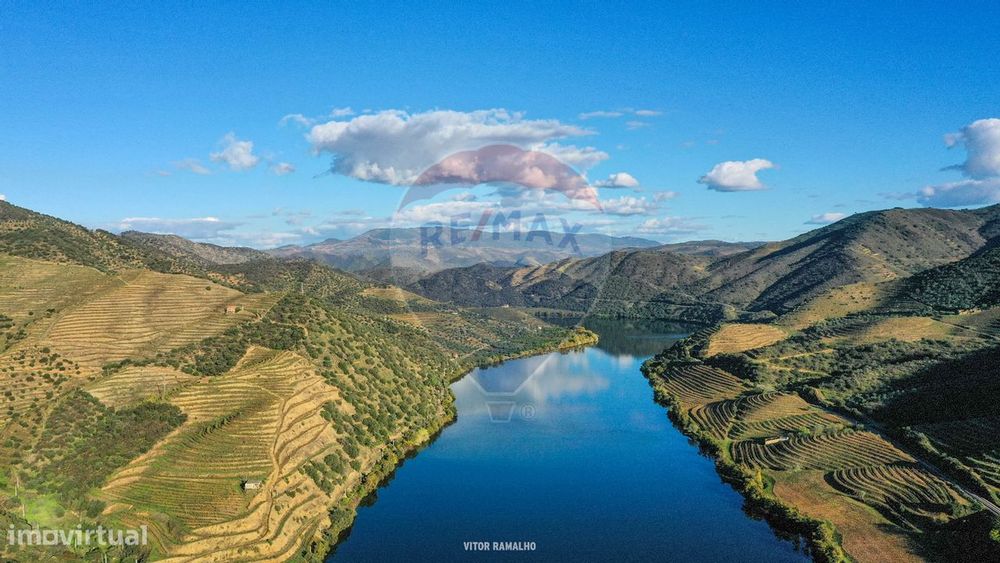 Quinta T5 para venda