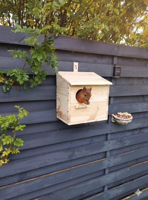 Domek, budka dla wiewiórek.