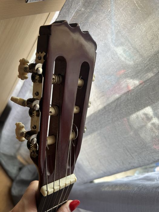 Viola.