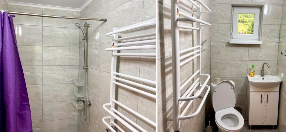 Будинок в Карпатах