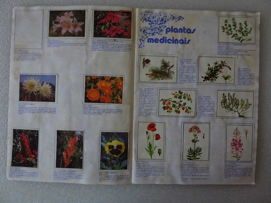 Caderneta de cromos Mundo Botânico - Francisco Más (faltam 54 cromos)