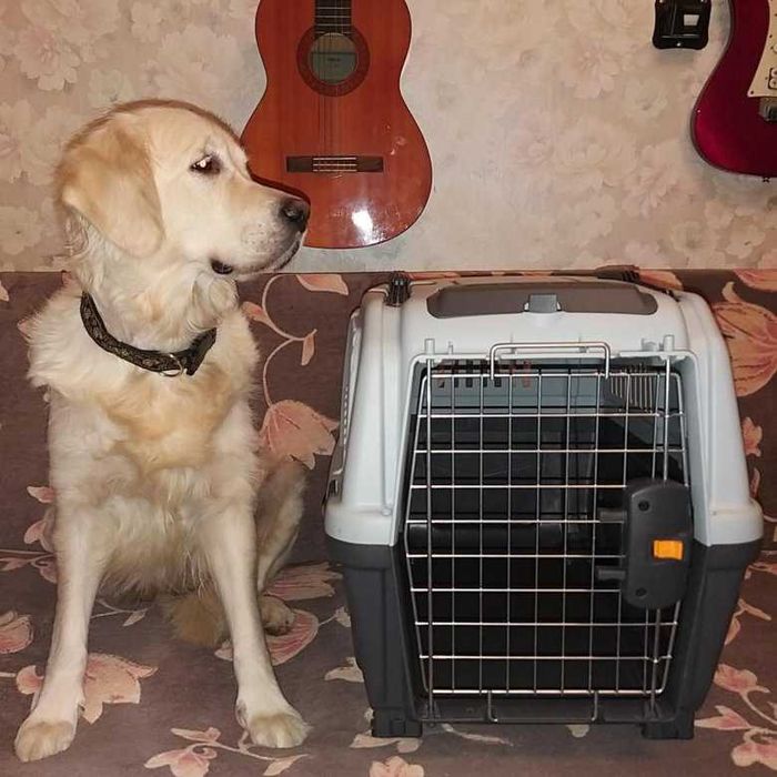 АВИа бокс iata переноска клетка для собак кошек от №1,2,3,4,5,6,7