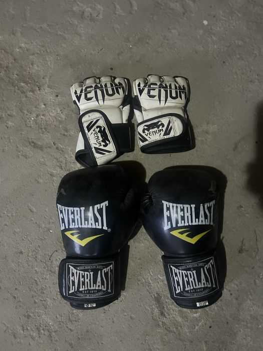 Боксерська груша + рукавички Everlast