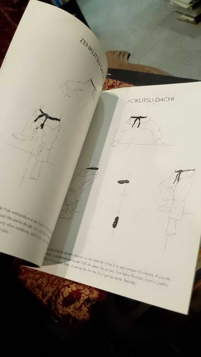 Livro Karate Shotokan