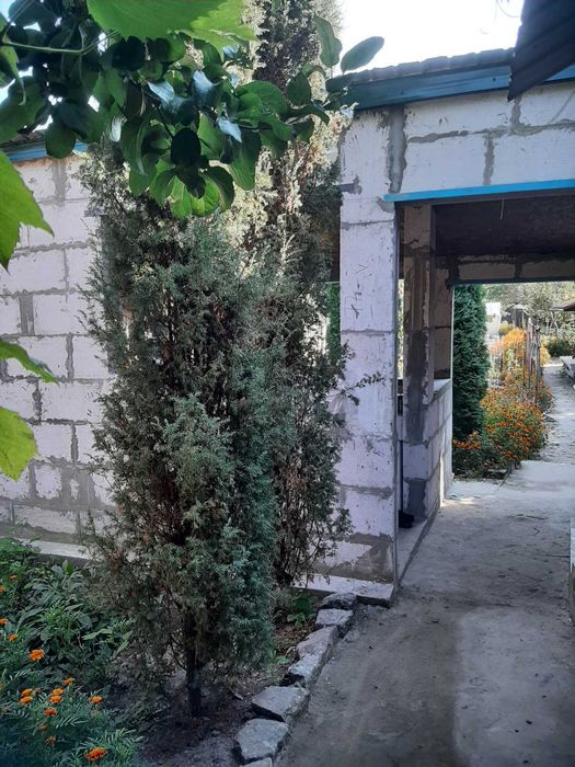 Продам дачу на Барановке