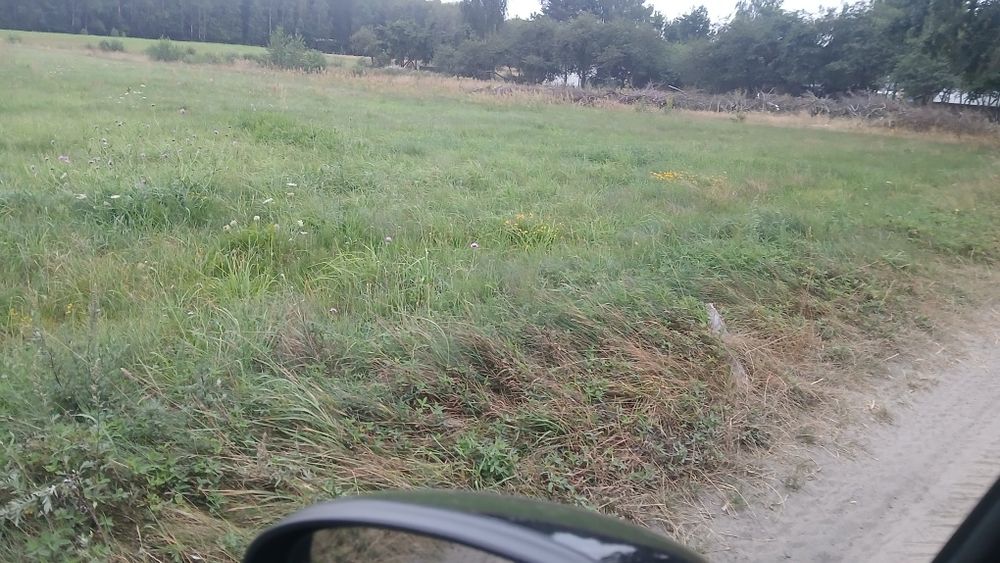 Sprzedam działkę siedliskową o powierzchni 3000 m² z WZ. - Widok 3