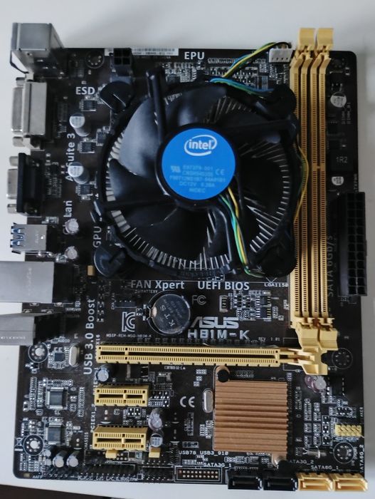 Płyta główna Asus H81M-K + procesor