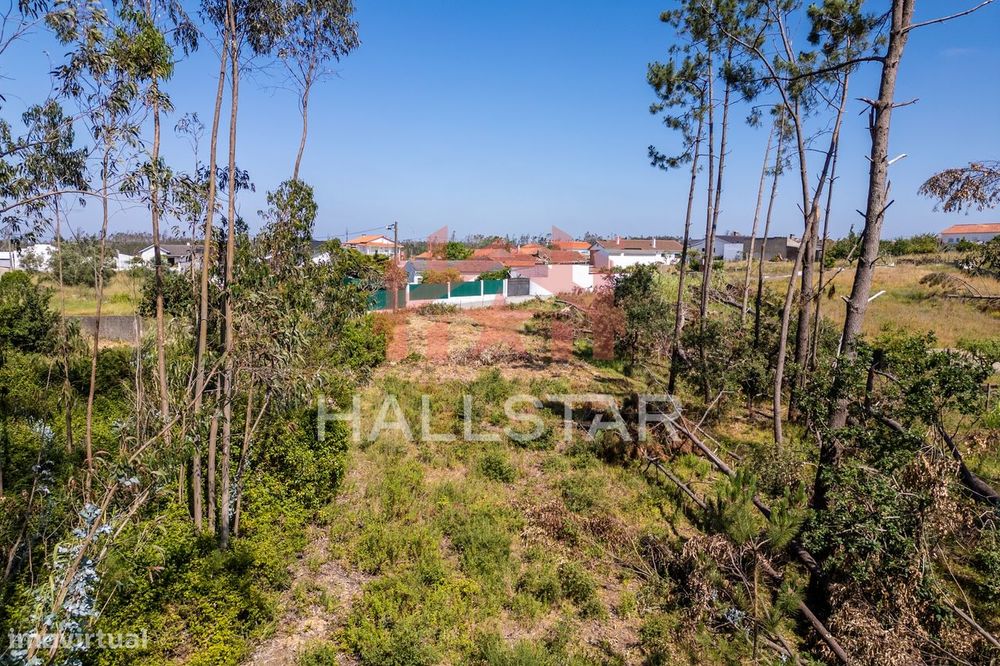 Terreno para Construção / Índice de 0.5 / Telheiro da Maceira