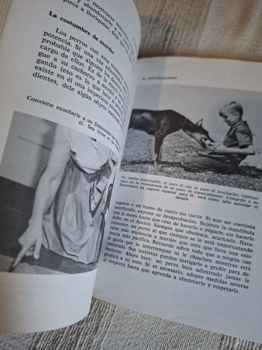 Todo sobre ele Dobermann Pinscher livro espanhol