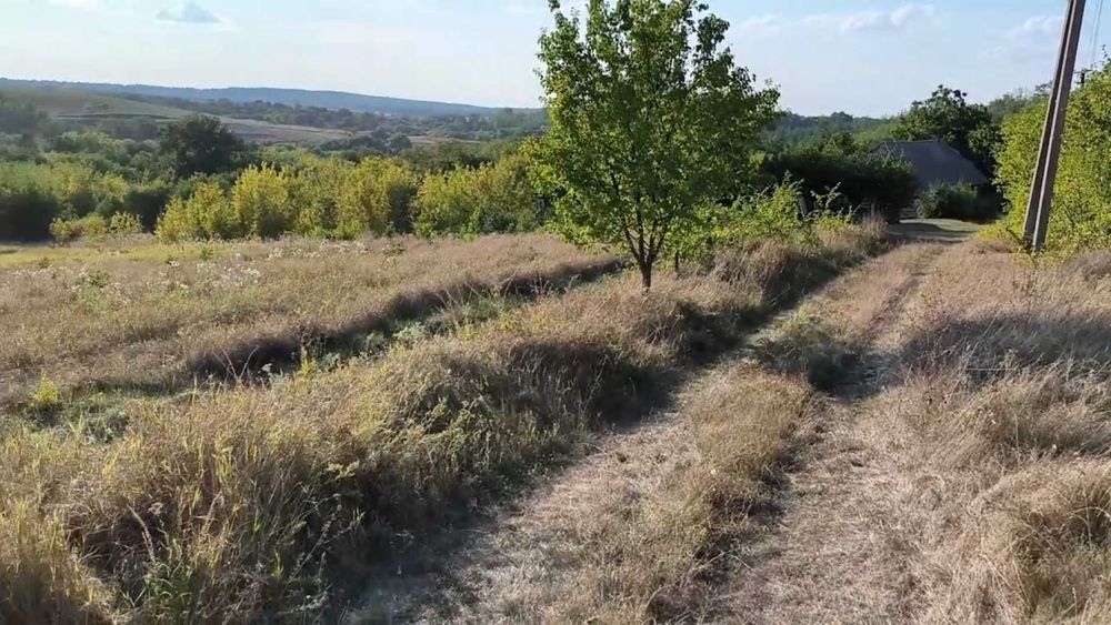 Продам будинок в с.Івківці + 1,85га горіхового саду