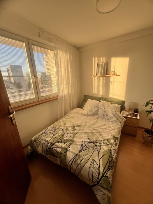 Wynajmę mieszkanie Katowice Śródmieście 38m2