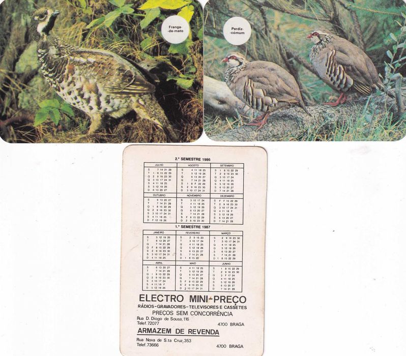 Calendários - As nossas AVES(completa)