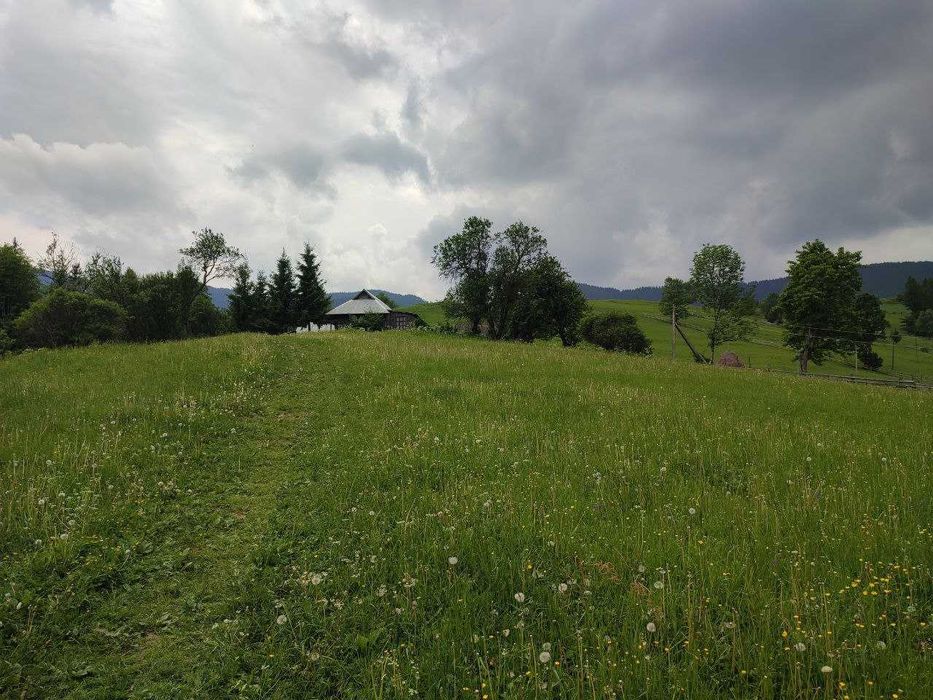 Продається земельна ділянка в серці Карпат ( Кривопільський перевал )