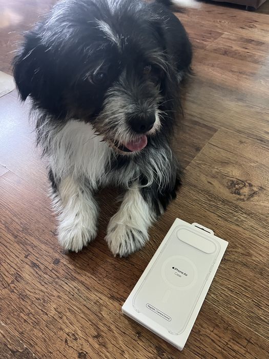 Etui Apple iPhone Air szron frost magsafe oryginał