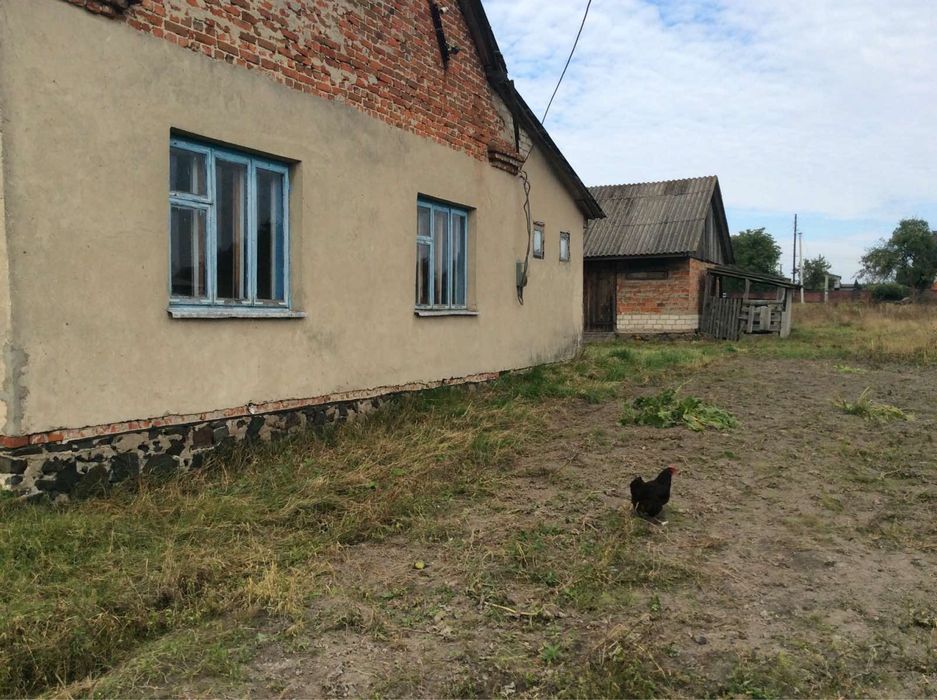 Продам будинок в селі Довговоля
