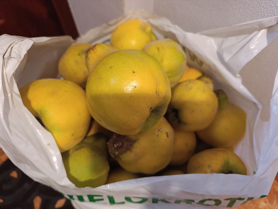 Pigwa z własnego ogrodu 5kg