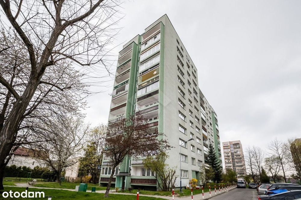 2 pokojowe mieszkanie z półotwartą kuchnią oraz piwnicą