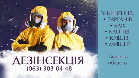 Дезінсекція. Знищення ШЕРШНІВ! Львів