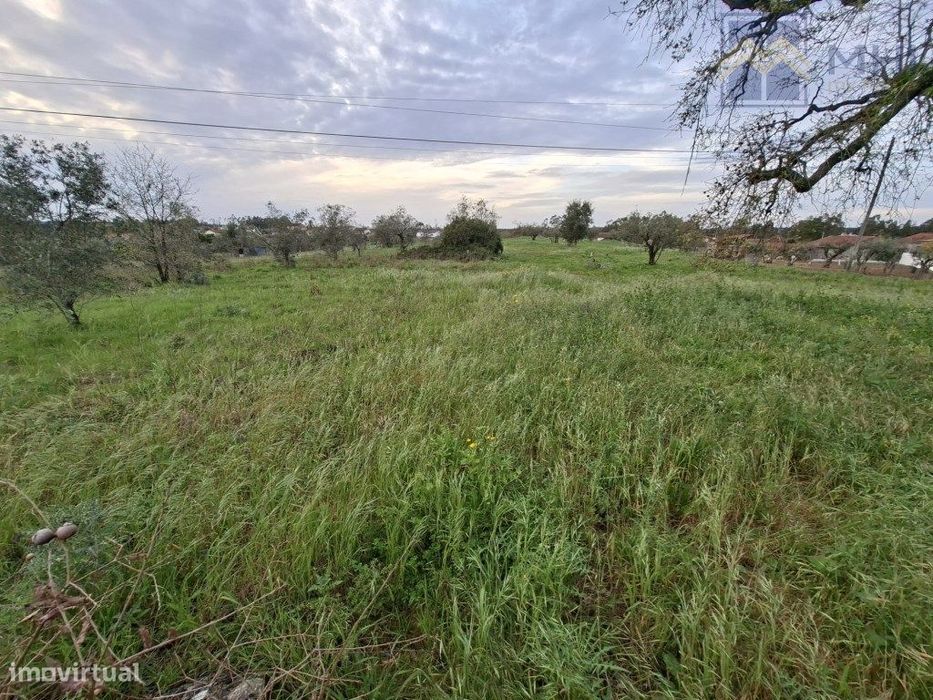 terreno para construção de uma ou 2 moradias — Pelariga, Leiria