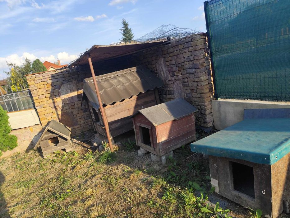 Buda dla pieska ocieplona po likwidacji hodowli wybór