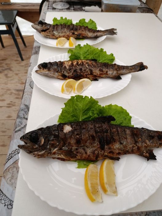 Відпочинок в Карпатах