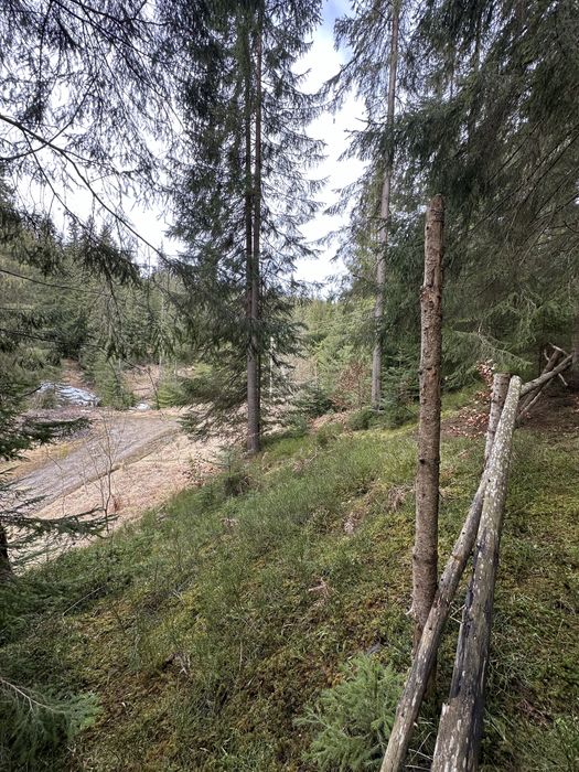Земельна ділянка с.Яблуниця, переведена під будівництво!
