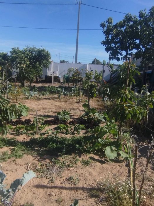 Terreno com benfeiturias