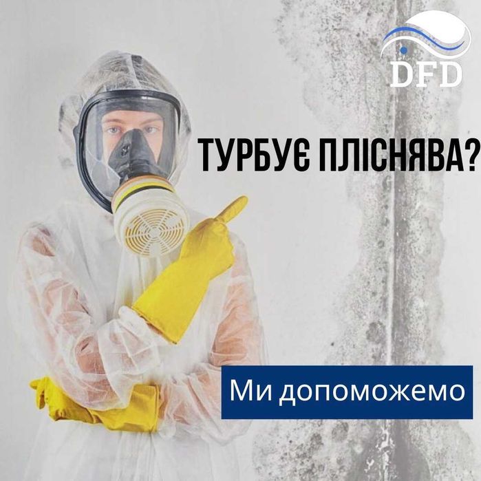 Видалення плісняви. Цвіль. Грибок. Знищення цвілі. Обробка від грибка.