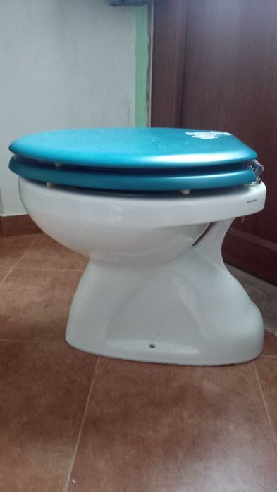 Sanita com tampo azul