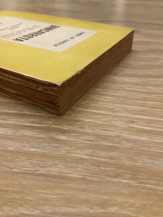 Bancarrota - Tomás da Fonseca