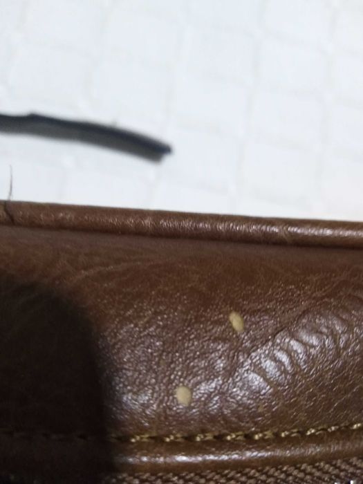 Bolsa Castanha Senhora