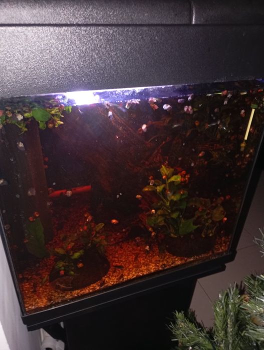 Aquario 45x45x50 com móvel