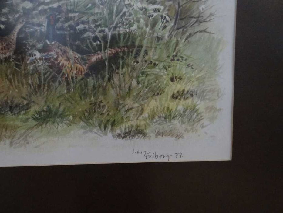 Obraz ,,Bażanty '' litografia barwna 1977 r