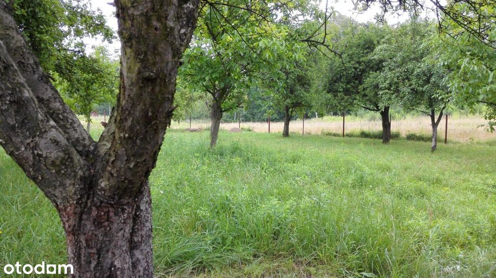 Działka 2508 m² - Jastrzębie-Zdrój, Ruptawa, ul. Sadowa - Widok 2