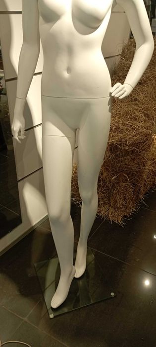 Manequim Feminino tamanho36