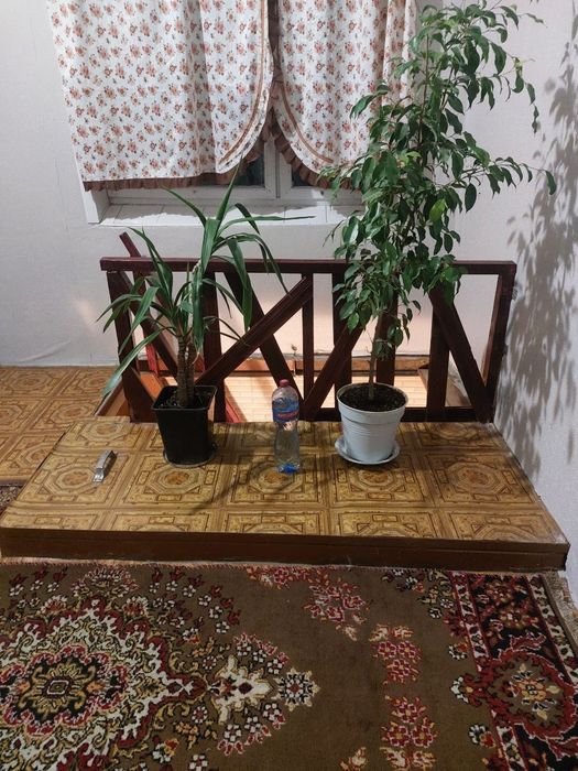 Будинок в Солов'їній рощі