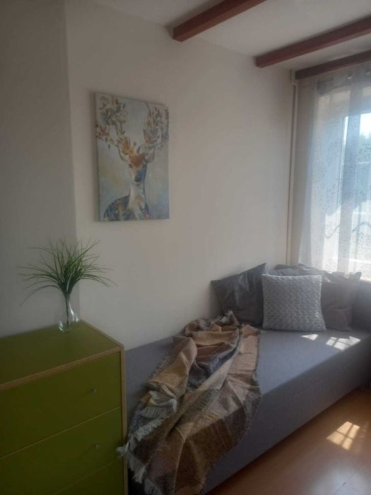Dom "Ukryty w tujach" na wyłączność 4-10 osób