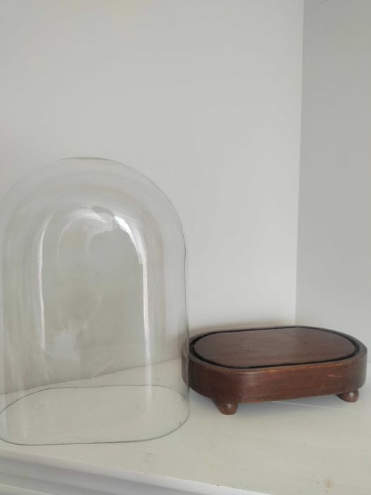 Szklana owalna kopuła wiktoriańska