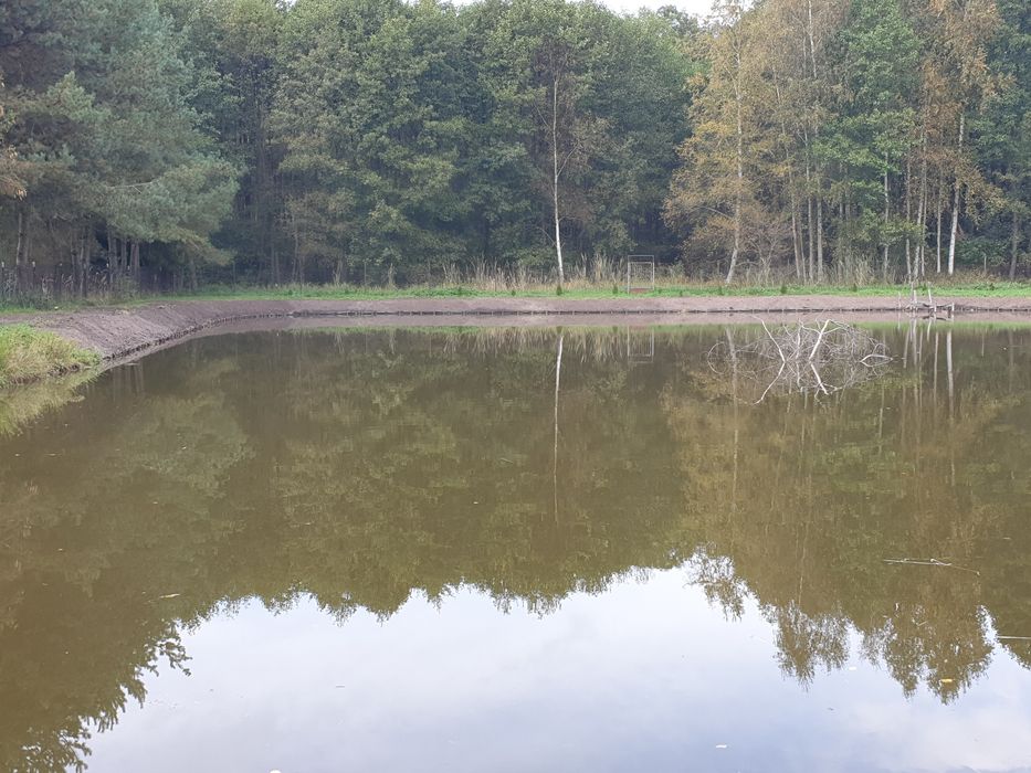 Faszynowanie stawów, umacnianie brzegu