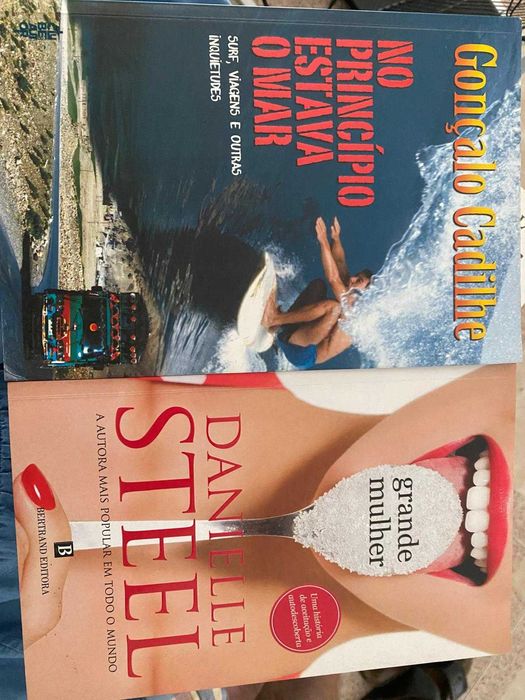 Romances e best sellers variados