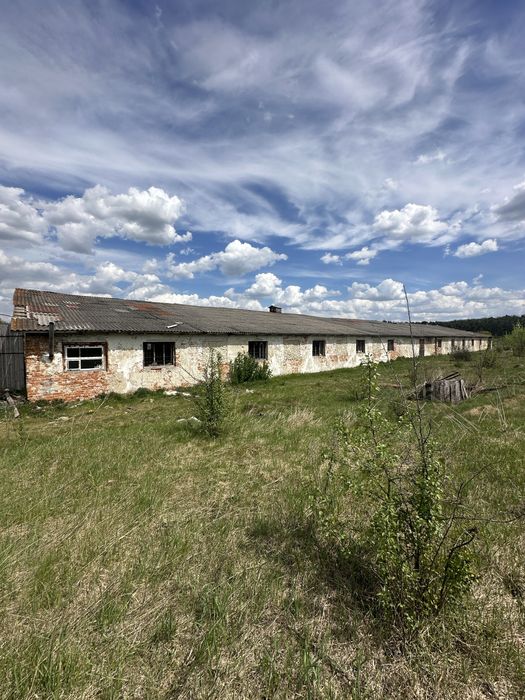 Продається Приміщення вільного призначення с. Залізці