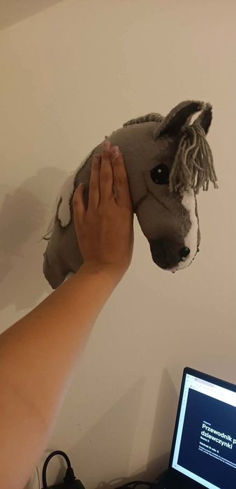Zestaw 2 hobby horse