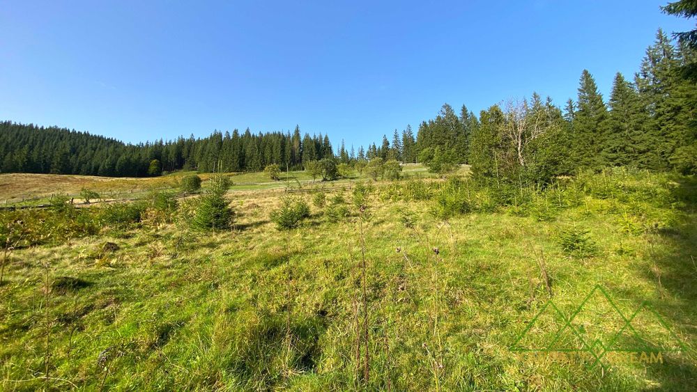 Продаж ділянки, межує з лісом