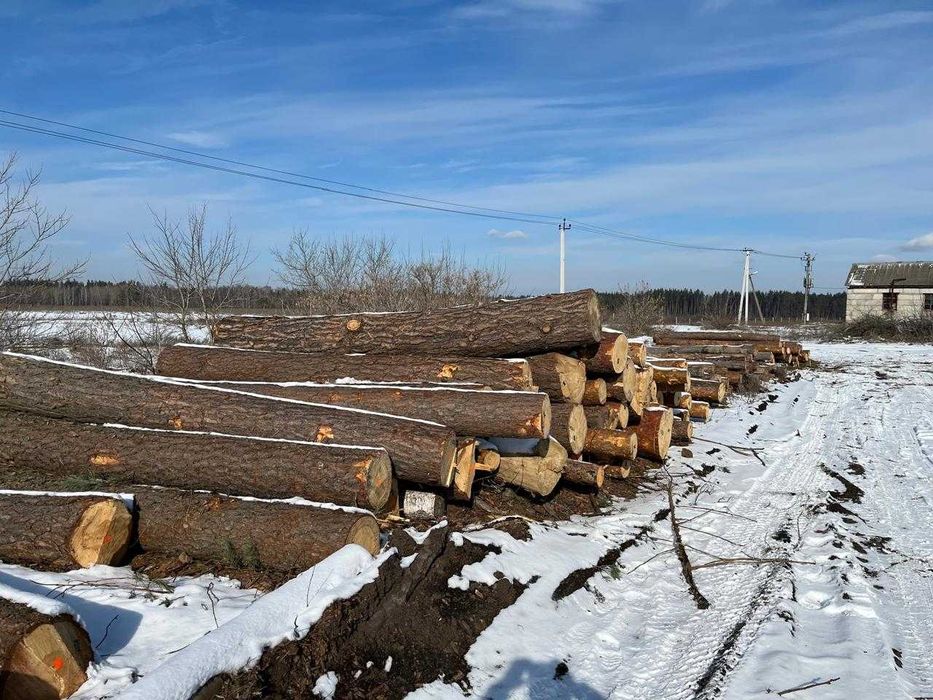Деревообробне господарство в 50 км від Києва