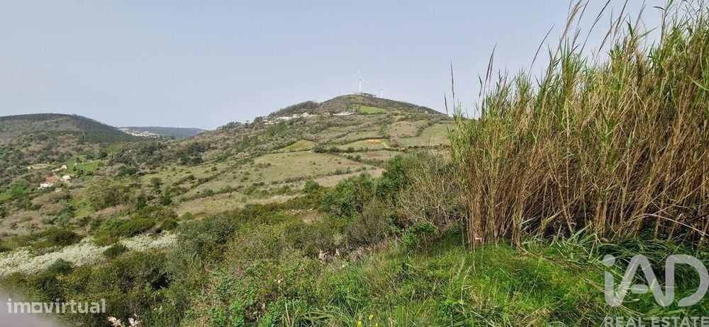 Terreno Agrícola em Mafra