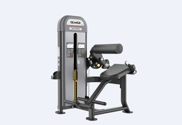 Back Extension OEMMEBI - nowa - gwarancja