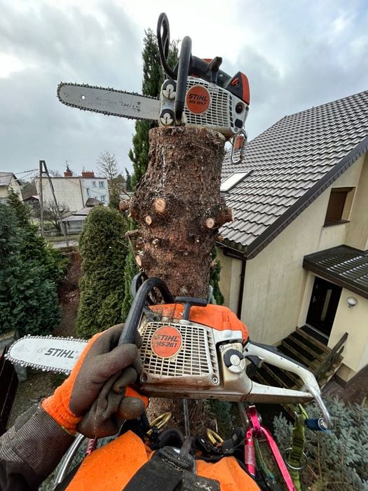 Wycinka i pielęgnacja drzew, frezowanie pni, usługi rębakiem