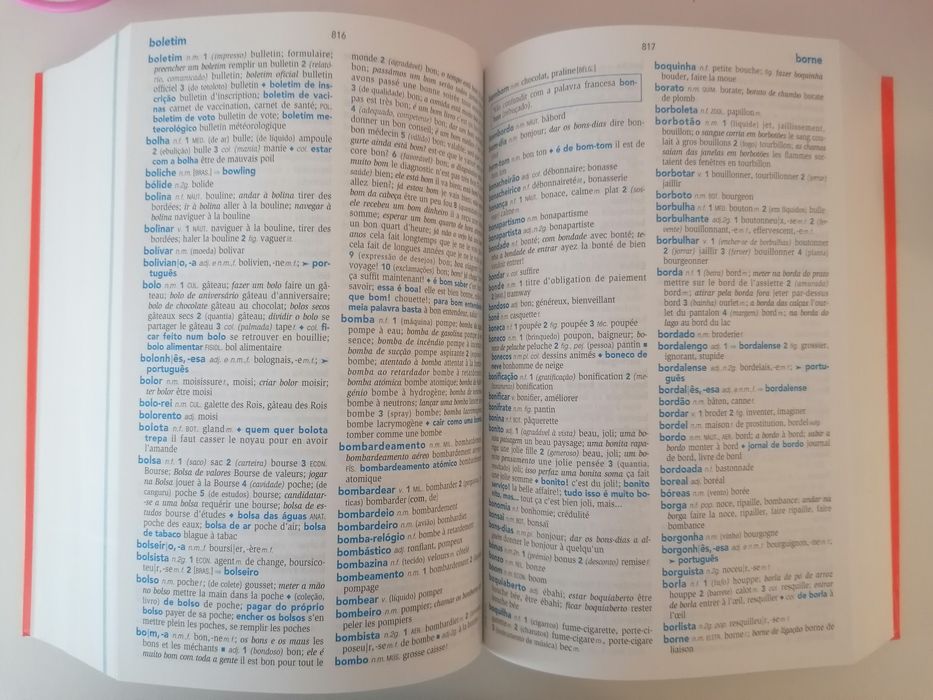 Dicionário Francês Novo