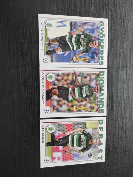Conjunto de cards SLB, SCP e FCP